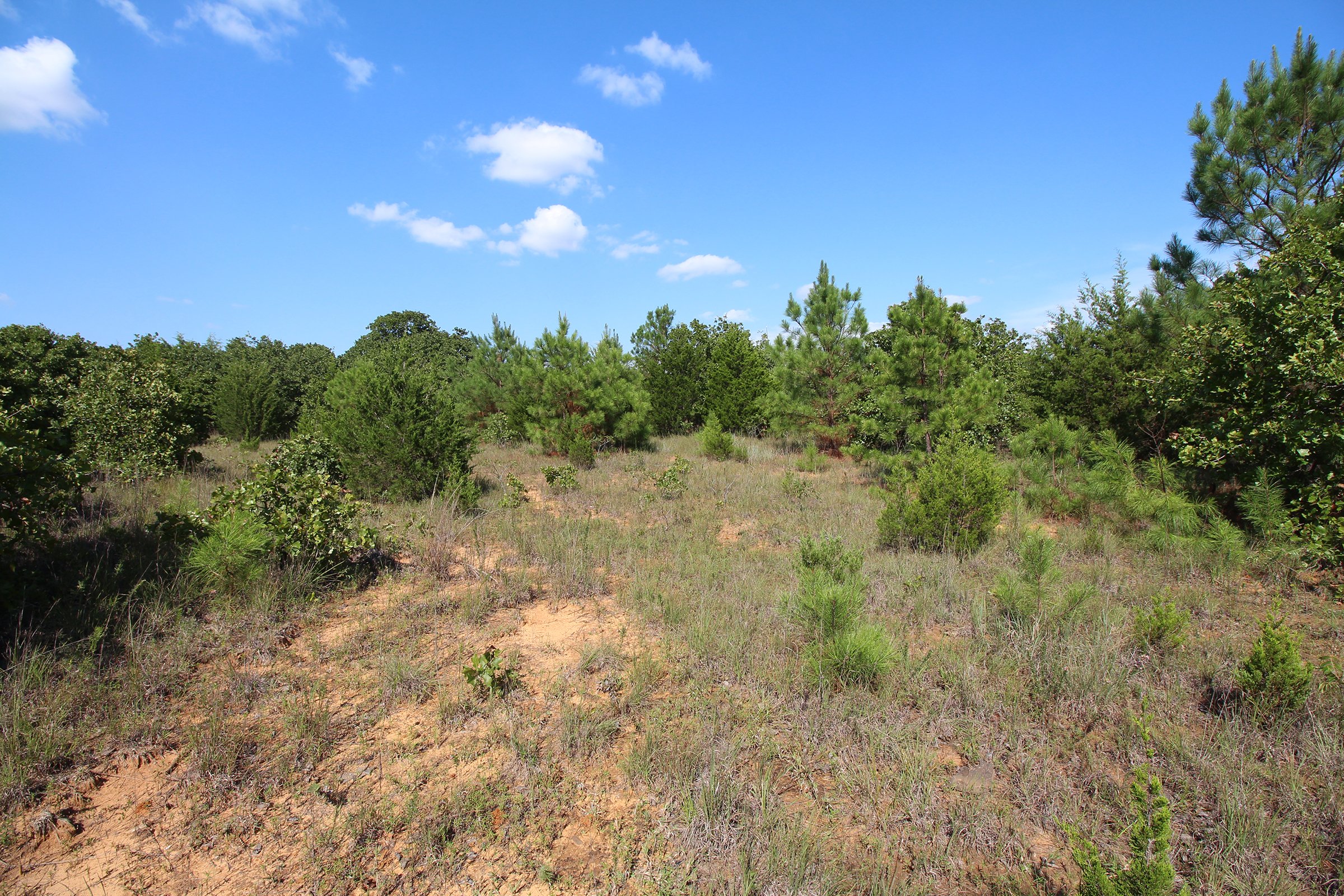 Tract 12 - LAND AUCTION - 160+/- ACRES OFFERED IN 19 TRACTS IN OKLAHOMA CO., OK
